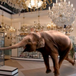 Come un elefante in un negozio di cristalli - Consulenza online