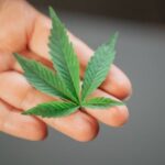 Disfunzione sessuale maschile e uso di droghe