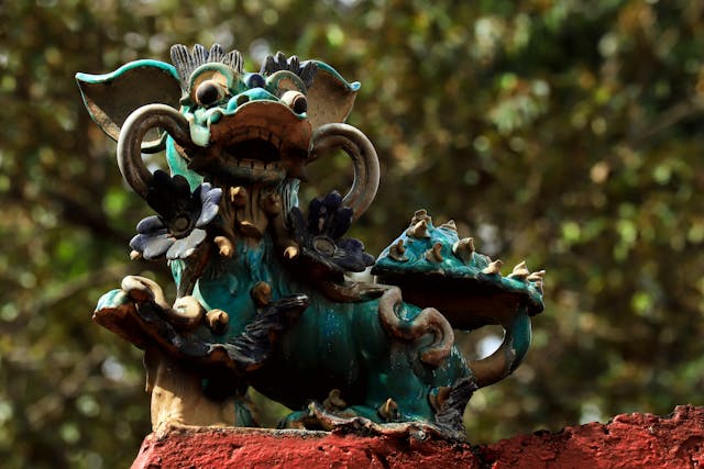 Dimensioni del pene e psicologia maschile: il caso cinese